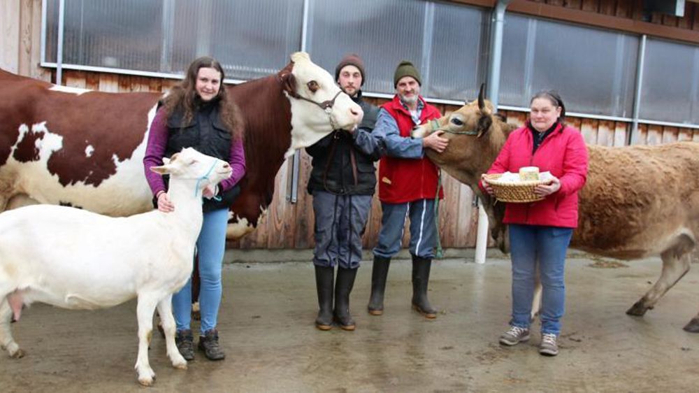 Patrice et Françoise Gauthier et leurs enfants, Émilie et Florent, en compagnie de Mazurka, une montbéliarde inscrite, Margot, une aubrac également inscrite et une chèvre saanen des trois troupeaux qu’ils élèvent. © M. Roque-Marmeys